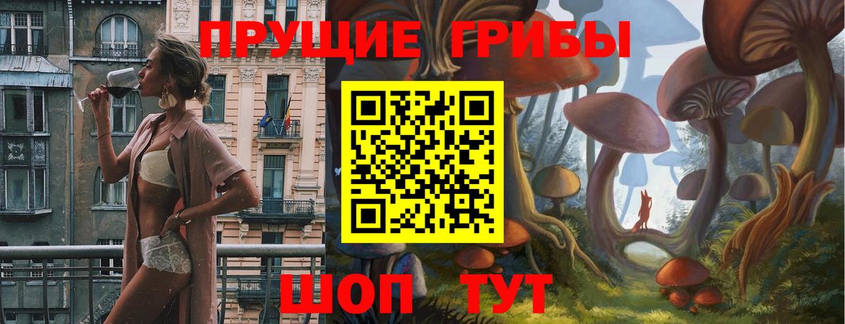 где продают   Вход с VPN  Альметьевск  Псилоцибиновые грибы Cubensis  Псилоцибиновые грибы MAGIC MUSHROOMS 